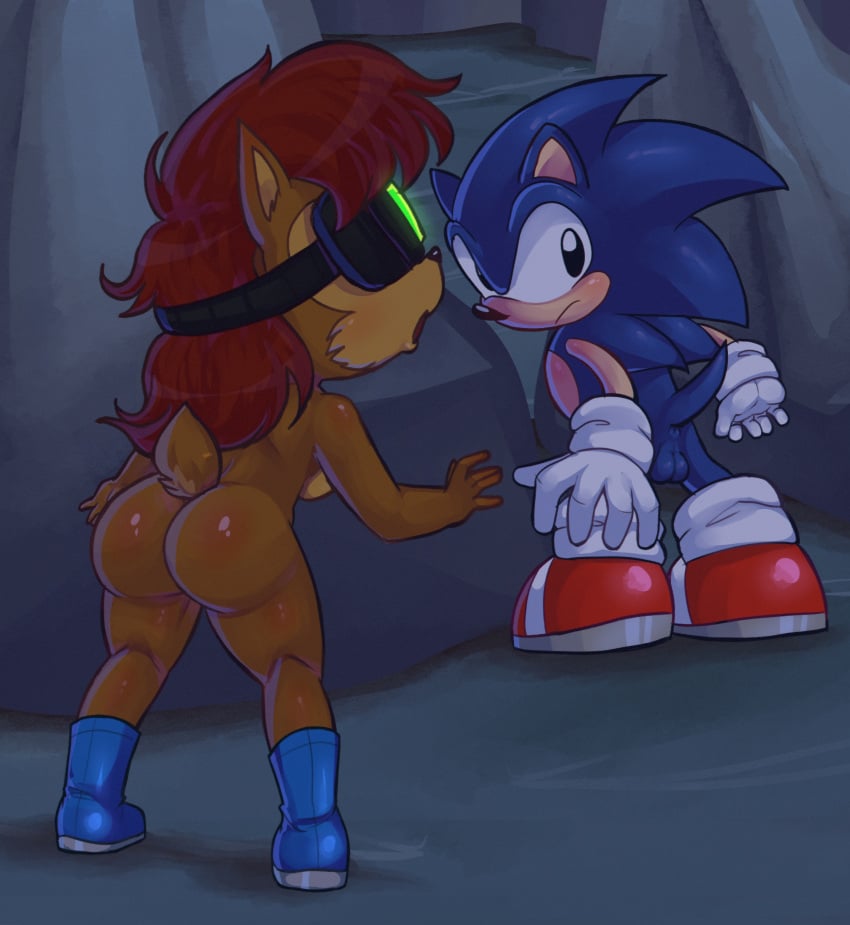 Sally Acorn (Sega) Rule 34 Image