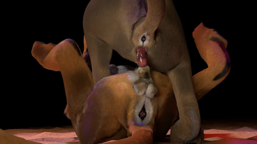 3d 3d_(artwork) animal animal_genitalia anus ass balls bigcat colored digital_media_(artwork) duo felid feline female feral fur genitals hair hi_res lion male male/female male_on_bottom mammal on_bottom pantherine penetration pinned_male pussy realistic ruark sex vaginal_penetration