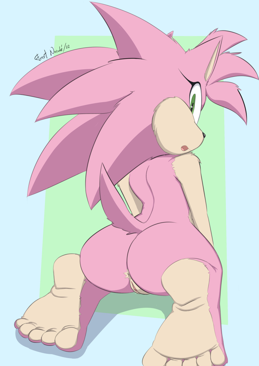 1girls 2020s 2022 2022s 20s 5_toes absurd_res amy_rose animal_ears anthro anthro_female anthro_only anthrofied anus ass beige_fur big_ass big_ass_(female) big_butt black_nose bubble_ass bubble_butt butt classic_amy_rose classic_sonic_(universe) completely_naked completely_naked_female completely_nude completely_nude_female cute cute_female cute_girl dat_ass digital_drawing_(artwork) digital_media_(artwork) dumptruck_ass dumptruck_butt eulipotyphlan eyelashes fat_ass fat_butt feet female female_anthro female_focus female_only female_solo frost_norde fur genitals girly girly_girl green_eyes hedgehog hedgehog_girl hi_res huge_ass huge_butt humanoid_feet humanoid_genitalia humanoid_pussy humanoid_vagina inkbunny kneeling looking_at_viewer looking_back looking_back_at_viewer mammal massive_ass massive_butt multicolored_fur naked naked_female nude nude_female open_mouth pink_fur plump_ass pussy round_ass round_butt sega simple_background soles solo solo_female solo_focus sonic_(series) sonic_team sonic_the_hedgehog_(series) tail tan_fur thick thick_ass thick_butt thick_thighs toes two_tone_fur vagina video_games wide_hips