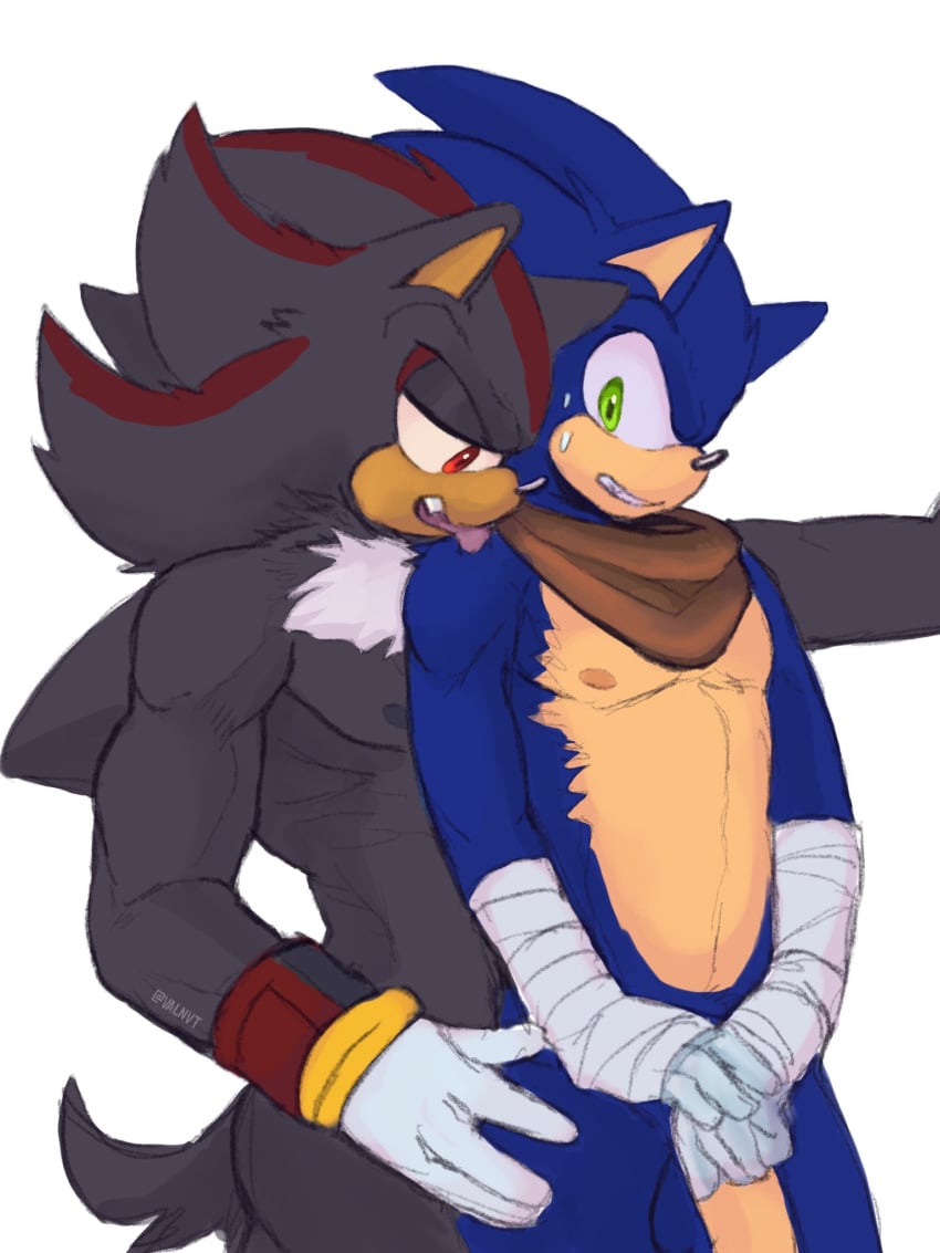 aciidtron anthro balls duo genitals hi_res licking male male/male muscular muscular_male nipples penis sega shadow_the_hedgehog sonic_boom sonic_the_hedgehog sonic_the_hedgehog_(series) tongue