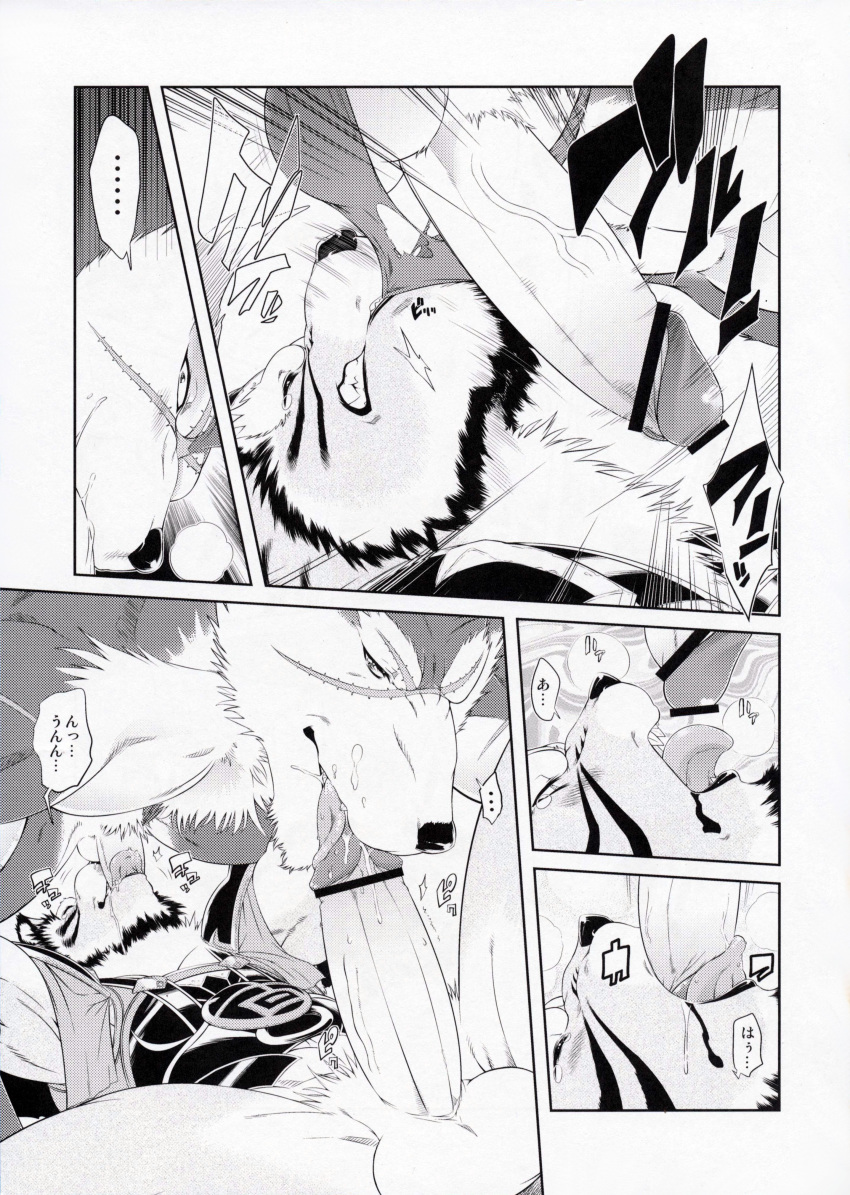 69 amakuchi canine clothing comic feline fellatio furry furry_only gay hi_res male monochrome no_humans oral oral_sex penis raihi rouen sex shining_(series) shining_f shining_wind tiger translation_request wolf yaoi