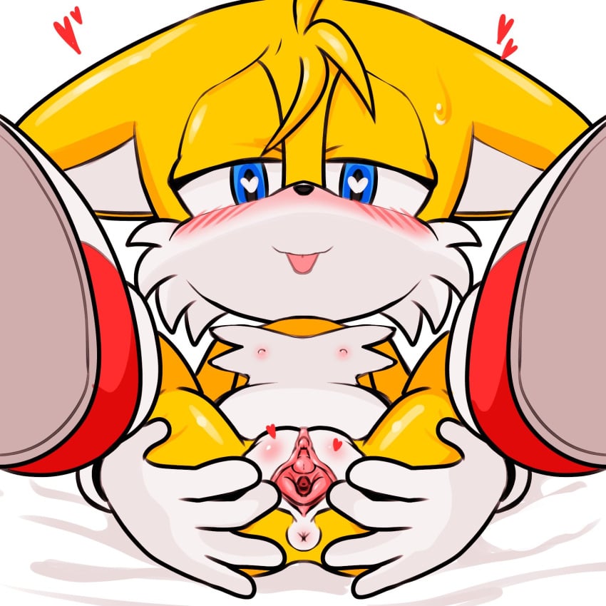 anus blush clitoris cub female fixink flat_chest furry genderswap genderswap_(mtf) heart-shaped_pupils nipples pussy rule_63 sonic_(series) sonic_team spread_pussy tails