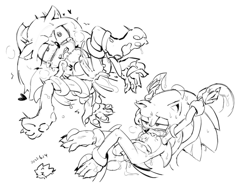 Sonic The Hedgehog (Sonic (Series)) Rule 34 Image