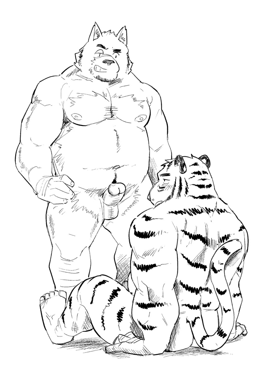 2022 anthro balls blush canid canine canis domestic_dog duo felid genitals hi_res humanoid_genitalia humanoid_hands humanoid_penis kemono male male/male mammal pantherine penis simple_background sitting tiger ujishiyo