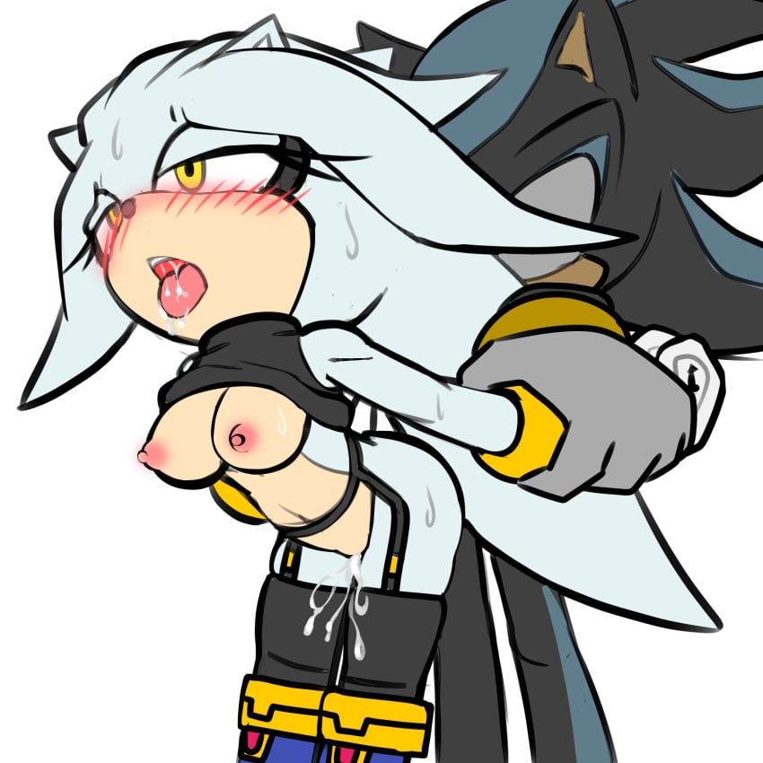 1boy 1girls breasts cum fixink garter_belt garter_straps genderswap genderswap_(mtf) mephiles_the_dark rule_63 saliva sega silver_the_hedgehog sonic_(series) sonic_the_hedgehog_(series) straight sweat vaginal_penetration