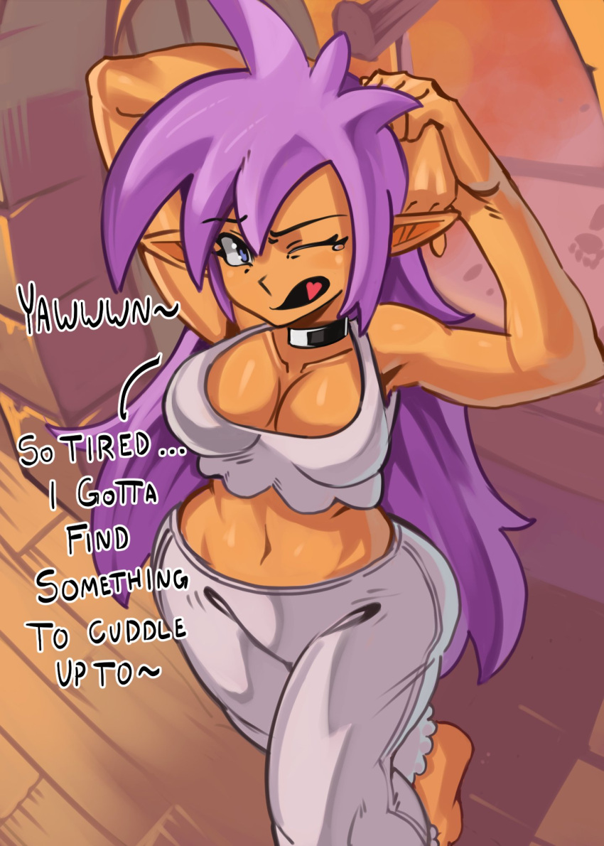 Shantae (Character) Rule 34 Image