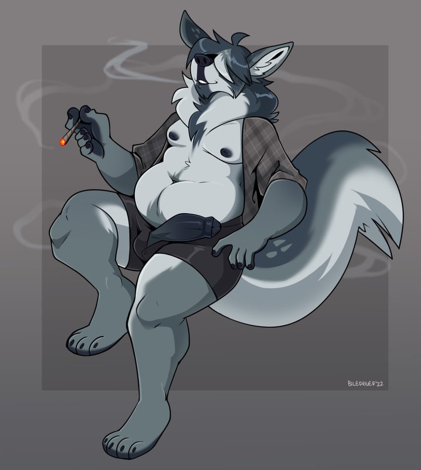 anthro belly black_penis bottomwear bulge cadaverrdog canid canine canis cheek_tuft chin_tuft chubby_anthro chubby_male clothed clothing drugs erection facial_tuft flannel flannel_shirt fluffy fluffy_tail foreskin fur genitals grey_background grey_body grey_fur hair hair_over_eyes hi_res humanoid_genitalia humanoid_penis inner_ear_fluff male mammal marijuana moobs neck_tuft open_bottomwear open_clothing open_pants open_shirt open_topwear pants penis shirt shorts simple_background slightly_chubby smile smirk smoke smoking smoking_weed smug smug_face smug_grin solo topwear tuft wolf