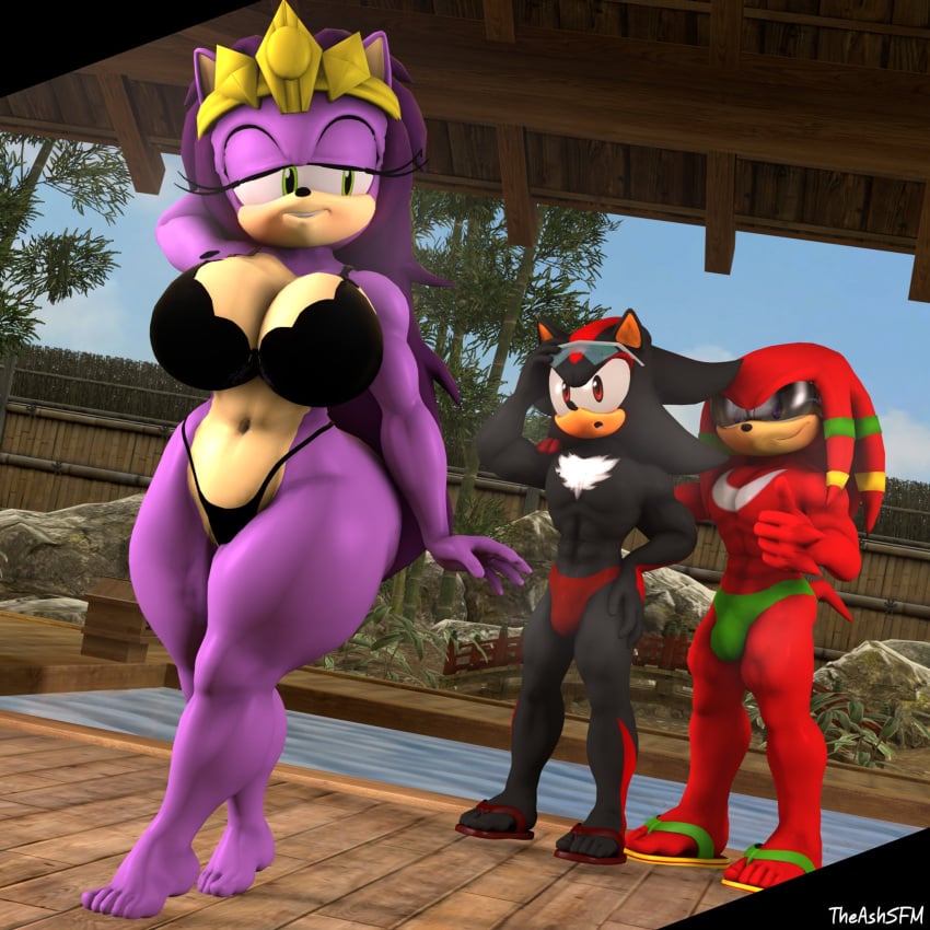 3d 3d_(artwork) bikini hot_spring huge_breasts knuckles_the_echidna milf partially_clothed queen_aleena queen_aleena_hedgehog royalty shades shadow_the_hedgehog sonic_(series) sonic_the_hedgehog_(series) sonic_underground source_filmmaker theashsfm