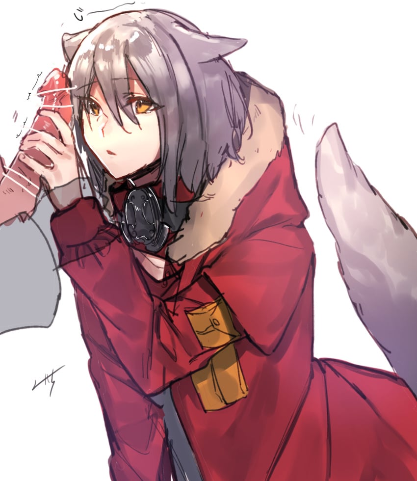 1boy animal_ears arknights bar_censor censored female fur-trimmed_hood fur_trim grey_hair grey_shirt hair_between_eyes handjob highres hood hood_down hooded_jacket jacket long_hair long_sleeves looking_at_penis mask mask_around_neck miyoichi_(tjuc8378) open_clothes open_jacket parted_lips penis_awe penis_grab projekt_red_(arknights) red_jacket shirt simple_background solo_focus straight tail twitching_penis white_background wolf_ears wolf_girl wolf_tail yellow_eyes