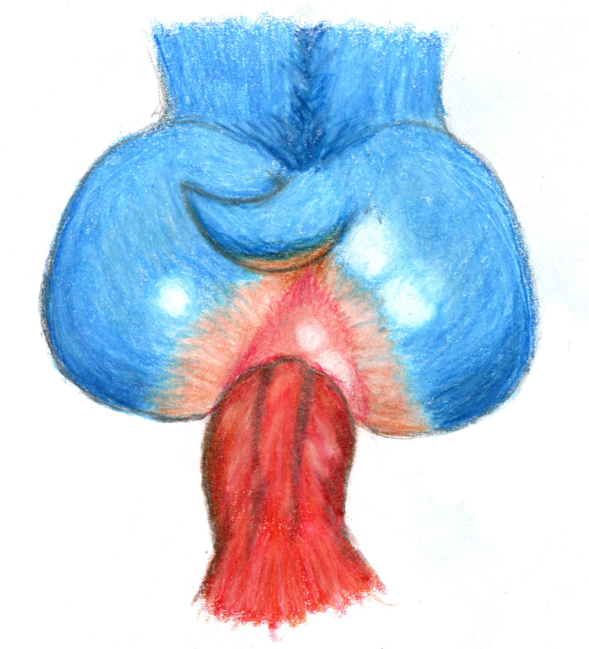 anal anthro anus ass duo enlisentity genitals hi_res knuckles_the_echidna male male/male penis sega sonic_(series) sonic_the_hedgehog sonic_the_hedgehog_(series) vein veiny_penis