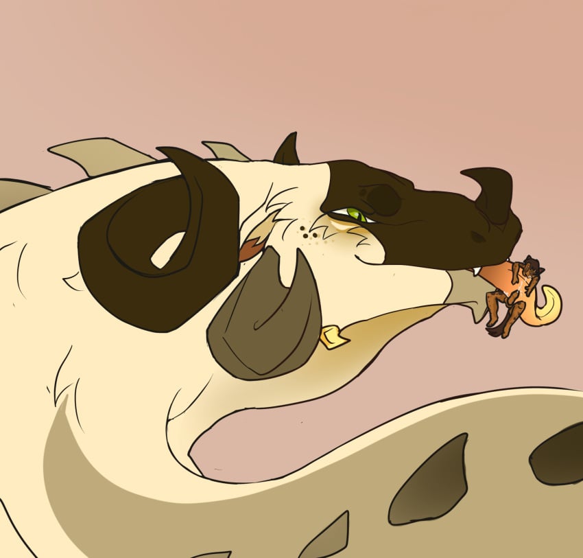 Dragon Rule 34 Image