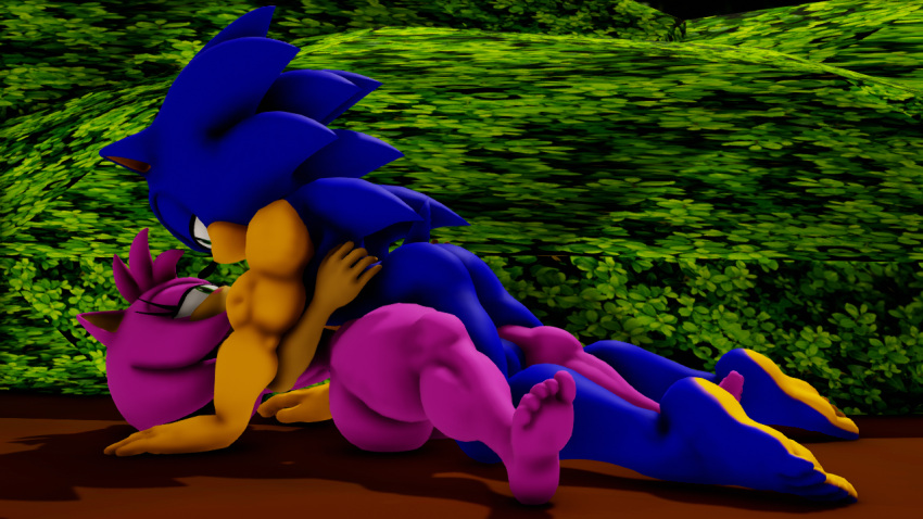 Amy Rose (Sega) Rule 34 Image