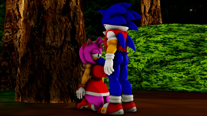 Amy Rose (Sega) Rule 34 Image