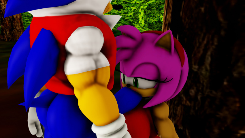 Amy Rose (Sega) Rule 34 Image