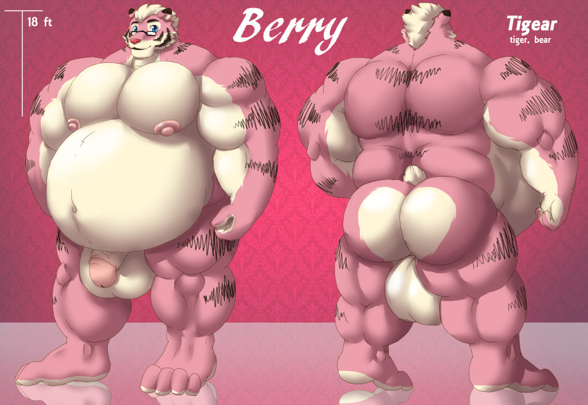 2014 4_toes akita77 anthro ass balls belly berry_shake big_balls big_belly big_butt big_muscles big_pecs big_penis blue_eyes countershading cream_belly cream_hair english_text eyewear feet felid fur genitals glasses hair hi_res huge_balls hybrid looking_at_viewer male mammal model_sheet musclegut muscular muscular_anthro muscular_male navel nipples nude overweight overweight_anthro overweight_male pantherine pecs penis pink_body pink_fur pink_nipples pink_nose reflective_floor solo standing stripes text tiger toes ursid utau vein veiny_penis