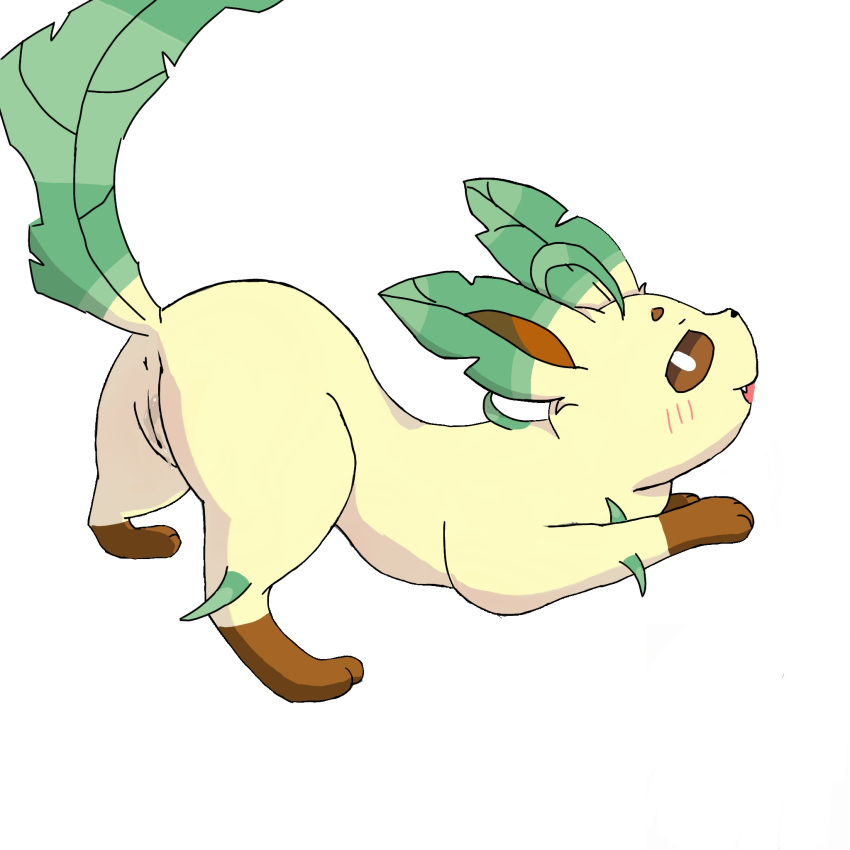 anus ass ass_up blush catmakinbiscuits eeveelution feral genitals hi_res leafeon nintendo pokemon pokemon_(species) pussy raised_tail simple_background solo video_games white_background yellow_body