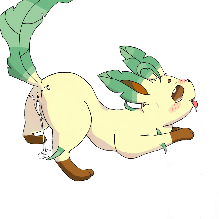 anus ass ass_up blush bodily_fluids catmakinbiscuits cum cum_in_pussy cum_inside eeveelution feral genital_fluids genitals hi_res leafeon leaking_cum nintendo pokemon pokemon_(species) pussy raised_tail simple_background solo video_games white_background yellow_body