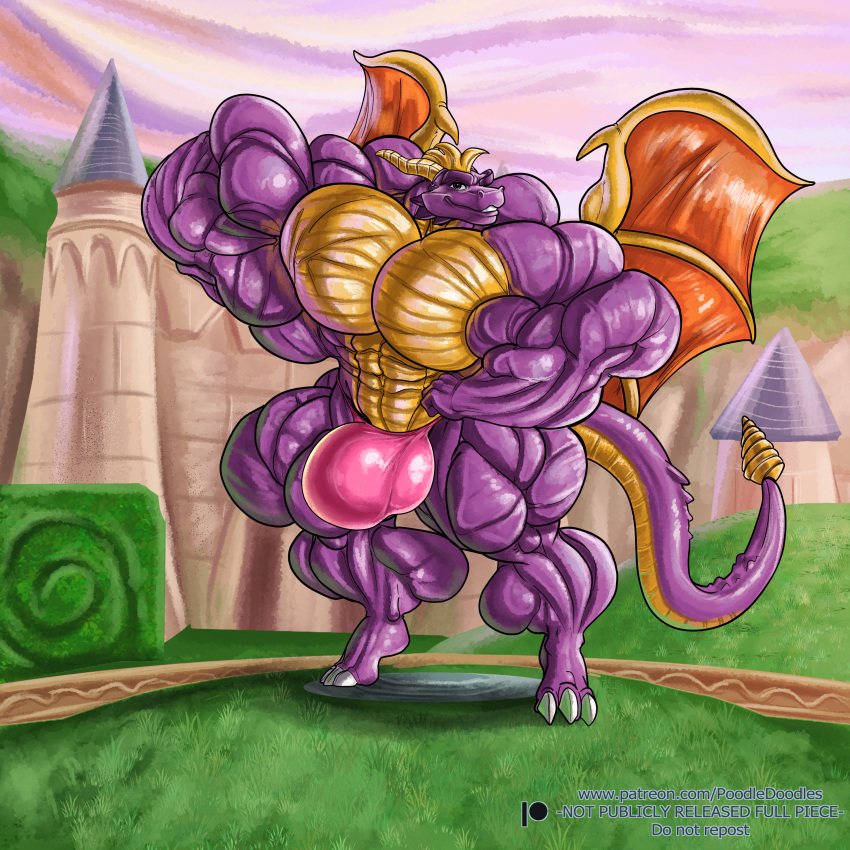 abs bear biceps bodybuilder cumming cumshot furry hyper hyper_balls hyper_genitalia hyper_muscles hyper_penis hyper_testicles male male_focus male_only muscle muscles muscular muscular_arms muscular_ass muscular_back muscular_legs muscular_male muscular_thighs nipples pecs poodledoodles spyro spyro_the_dragon veins veiny_penis what