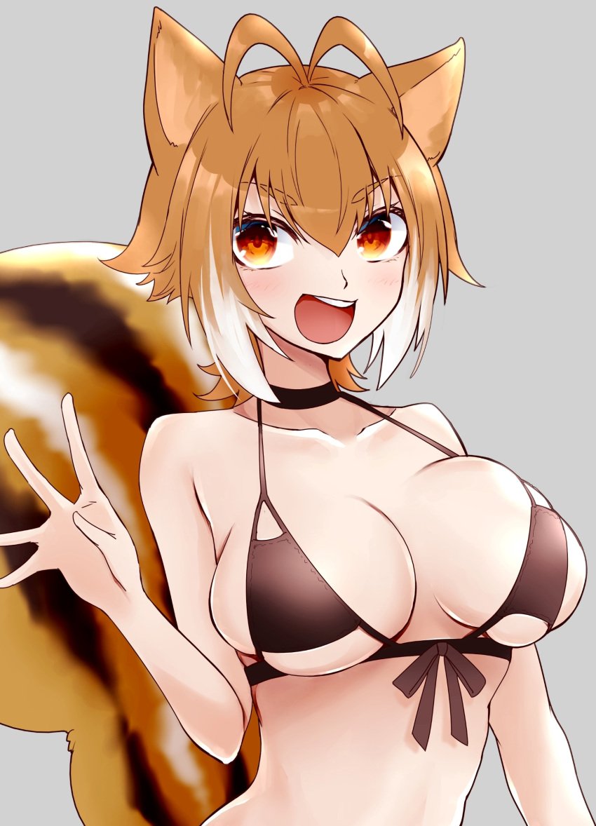 absurdres animal_ears bare_shoulders bikini blazblue blush breasts brown_eyes brown_hair chukachuka female highres large_breasts makoto_nanaya micro_bikini short_hair squirrel_ears squirrel_tail swimsuit tail teeth upper_teeth white_hair