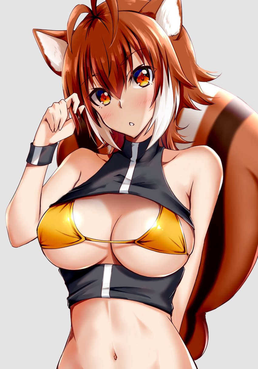 absurdres animal_ears bangs bare_shoulders bikini bikini_top_only blazblue breasts brown_eyes brown_hair chukachuka cleavage female hair_between_eyes highres large_breasts makoto_nanaya medium_hair multicolored_hair navel solo squirrel_ears squirrel_tail swimsuit tail two-tone_hair underboob