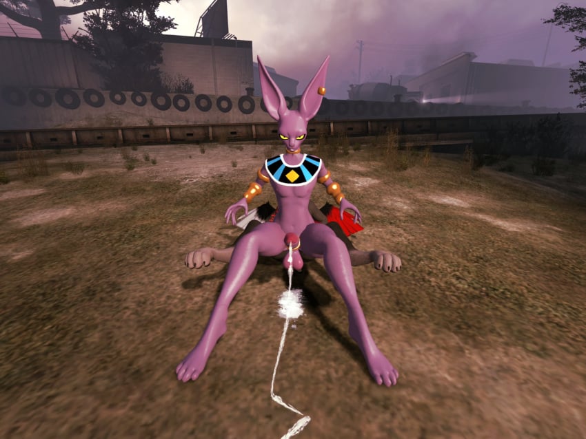 Beerus (Dragon Ball) Rule 34 Image