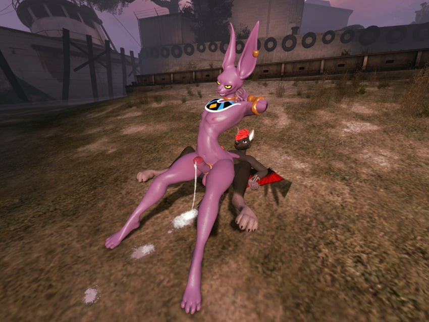 Beerus (Dragon Ball) Rule 34 Image