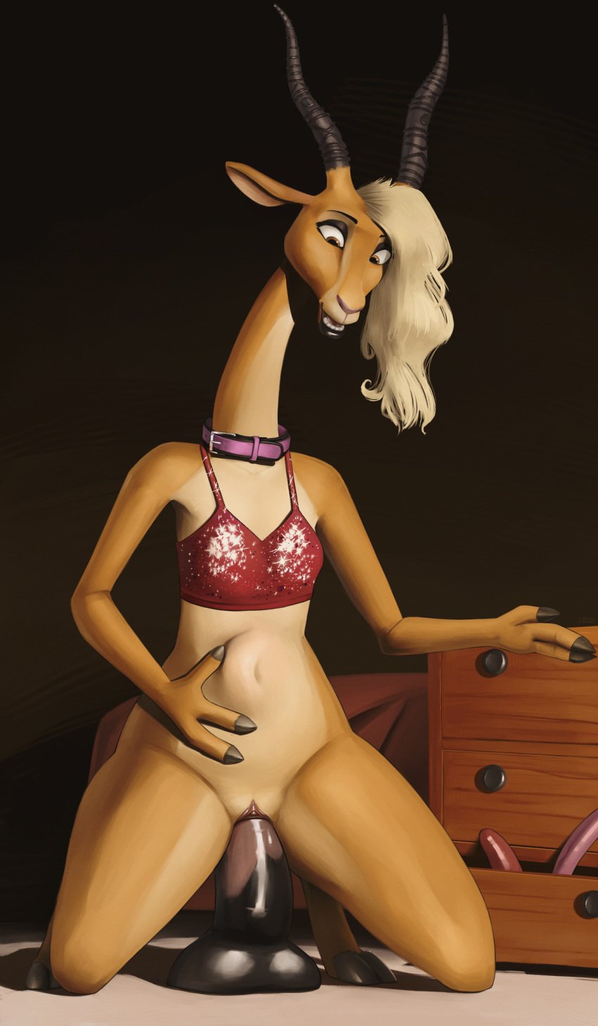 1girls 3_fingers akkusky antelope anthro balls blonde_hair bodily_fluids bottomless bovid bra breasts collar cum cum_in_pussy cum_inside digital_media_(artwork) dildo dildo_in_pussy dildo_insertion dildo_sitting disney feet female female_only fingers flat_chest fur furniture gazelle gazelle_(zootopia) genital_fluids genitals hair hi_res horn inflation kneeling looking_down looking_up mammal masturbation open_mouth penetration pussy pussy_juice sex_toy sex_toy_in_pussy sex_toy_insertion solo solo_female stomach_bulge teeth tongue tongue_out true_antelope underwear vaginal_penetration zootopia