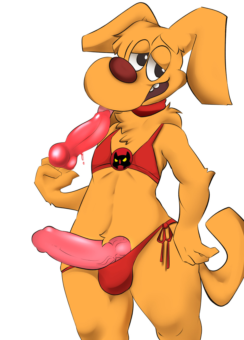 1boy 2022 absurd_res animal_genitalia animal_penis balls bikini brain_(inspector_gadget) canine_penis commission crossdressing digital_media_(artwork) erection exposed exposed_penis furry furry_only inspector_gadget knot licking male male_only oumseven penis popsicle straight_hair uncensored