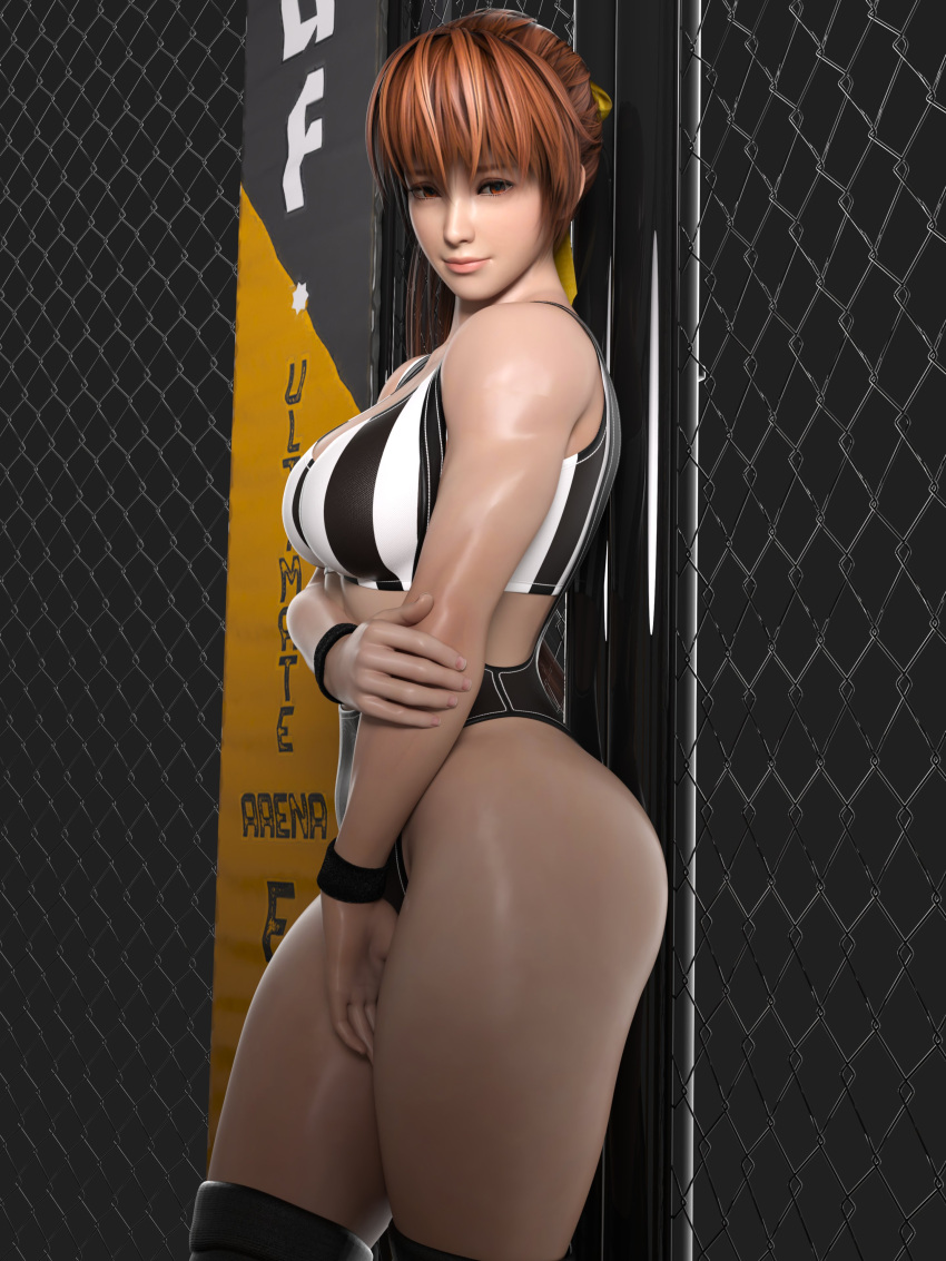 1girls 3d ass big_ass big_breasts breasts dead_or_alive female gcb kasumi_(doa) kneehighs referee thick_thighs