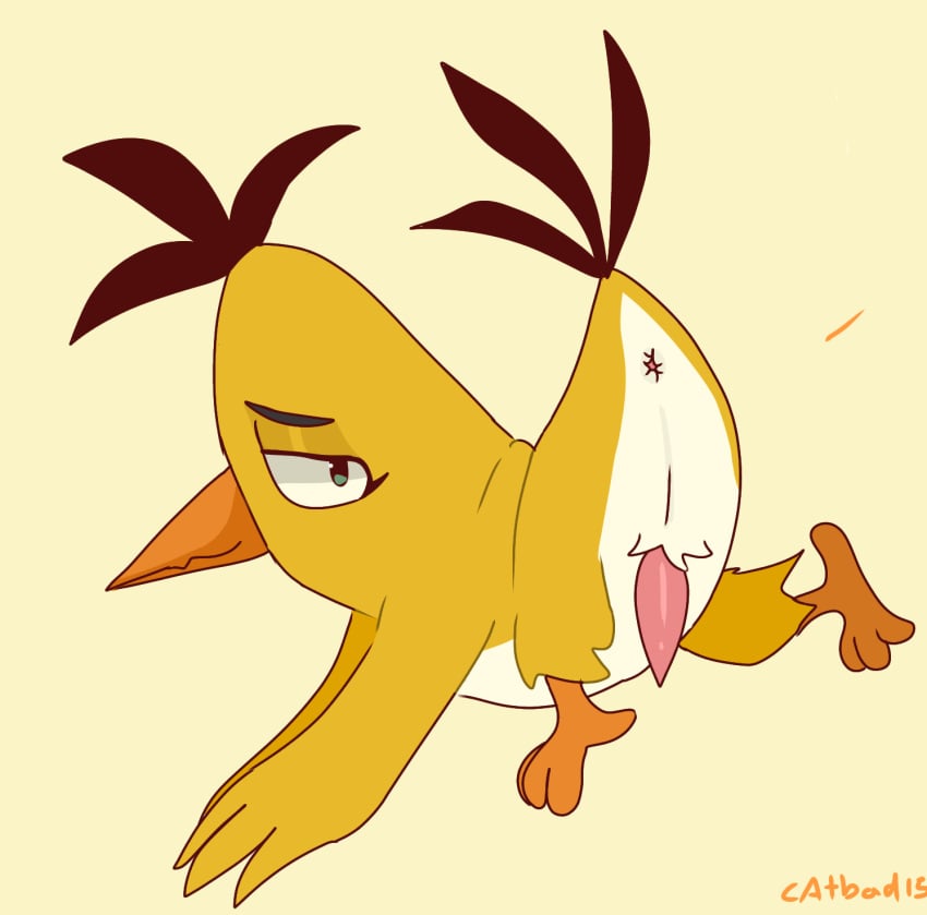 Chuck (Angry Birds) Rule 34 Image