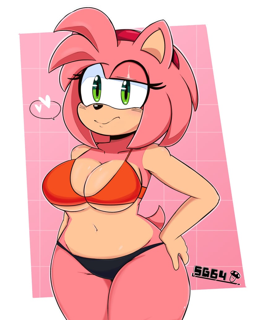 amy_rose big_breasts breasts female mobian_(species) sega sg64 sonic_(series) sonic_the_hedgehog_(series) tagme underwear