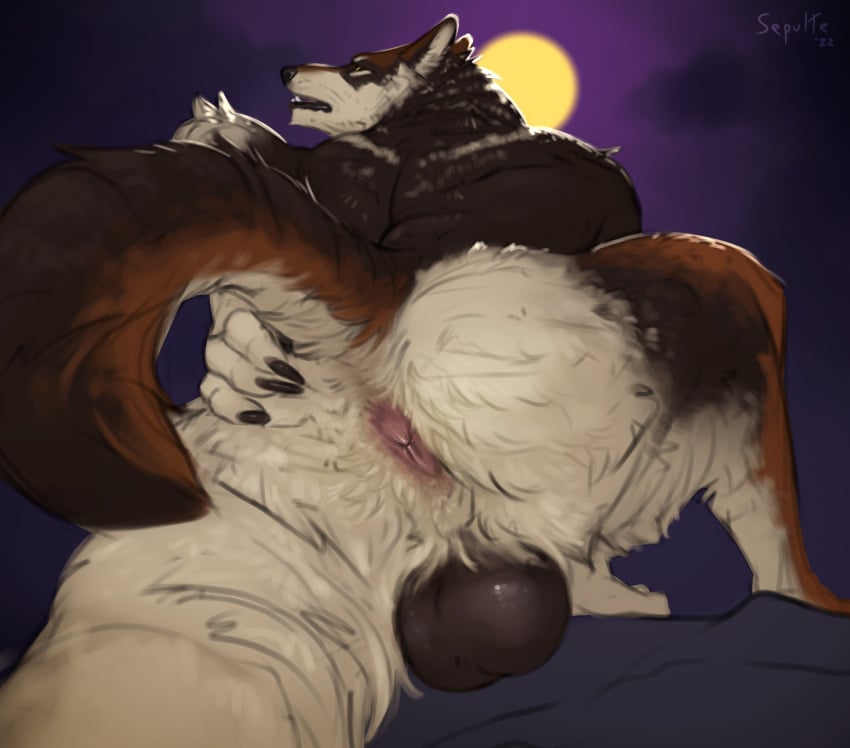 absurd_res anthro anus ass balls black_balls black_body black_fur black_lips black_nose brown_body brown_fur canid canine ears_back fur gausswolf genitals hand_on_butt hi_res lips looking_back low-angle_view male male_anthro mammal moon night nude open_mouth pivoted_ears presenting presenting_anus presenting_hindquarters sepulte solo spread_butt spreading teeth_visible were werecanid werecanine werewolf white_body white_fur yellow_eyes