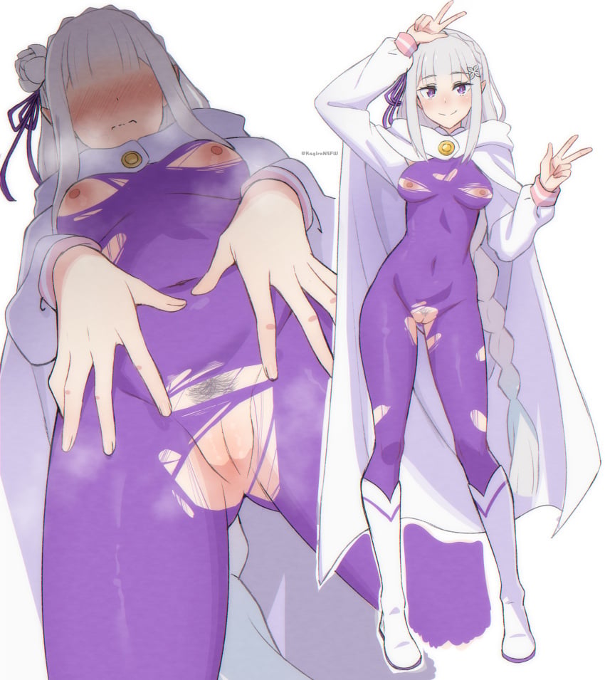 Emilia (Re:Zero) Rule 34 Image
