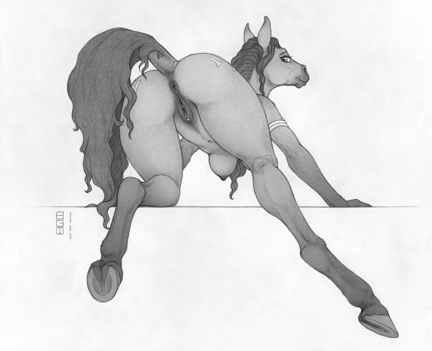 animal_genitalia animal_pussy anthro anus breasts ecmajor equid equine equine_anus equine_pussy female genital_piercing genitals horse mammal matilda_(gilbertthepony2) monochrome nipples nude piercing pussy solo unguligrade_anthro