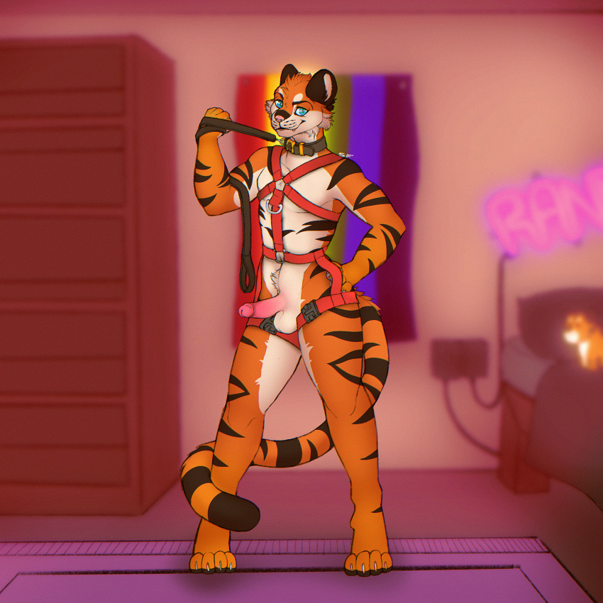 anthro bedroom collar detailed_background felid harness hi_res humanoid_genitalia leash leash_pull lgbt_pride looking_at_viewer male male_only mammal pantherine pride_colors rainbow_flag rainbow_pride_flag rainbow_symbol saradrawsart solo tiger