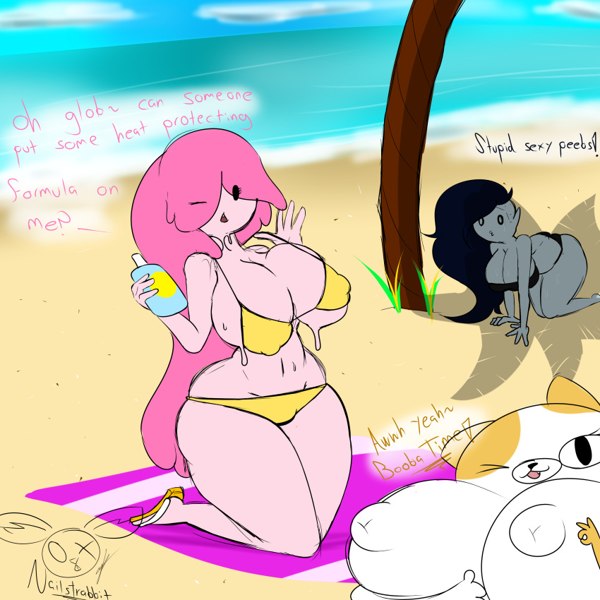 absurd_res adventure_time anthro beach big_(disambiguation) big_breasts bikini breasts bubble_gum cake_the_cat cartoon_network cleavage clothed clothing domestic_cat felid feline felis female female/female group hi_res humanoid mammal marceline marceline_abadeer melting nailstrabbit nipples princess_bubblegum seaside swimwear trio vampire wide_hips