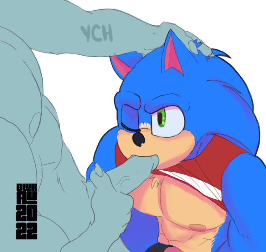 abs anthro blurau duo gay genitals hand_on_head hi_res male male/male masturbation muscular muscular_male nipples one_eye_closed oral oral_sex penis sega sonic_(series) sonic_the_hedgehog sonic_the_hedgehog_(series) ych_(character)