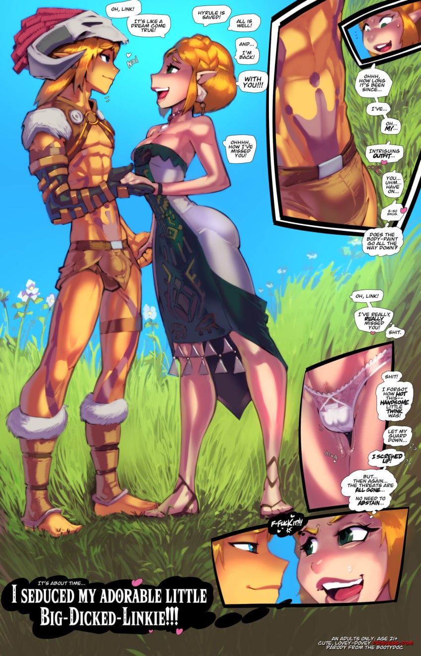 Link (Tears Of The Kingdom) Rule 34 Image