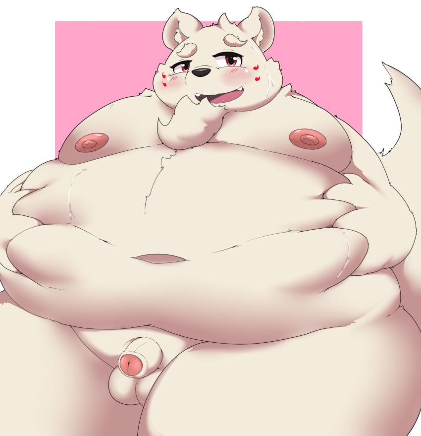 2022 anthro balls belly big_belly blush bodily_fluids canid canine flaccid genitals hi_res kemono kusosensei male mammal moobs morbidly_obese morbidly_obese_male navel nipples obese obese_male overweight overweight_male penis simple_background solo sweat