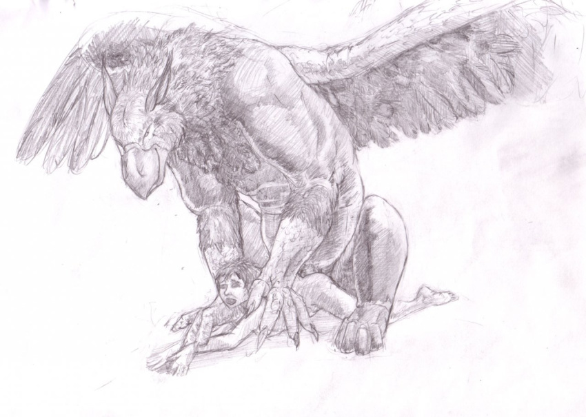 animal avian couple feral fossegrim gryphon human interspecies male monster rape wings