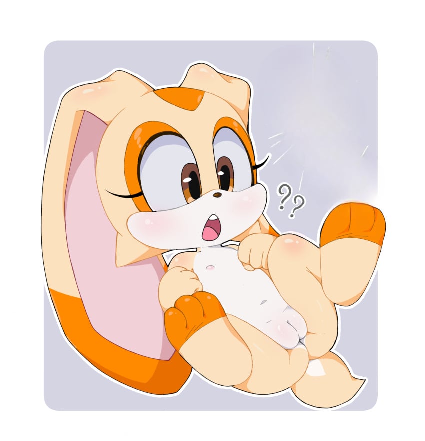 Cream The Rabbit (Sega) Rule 34 Image