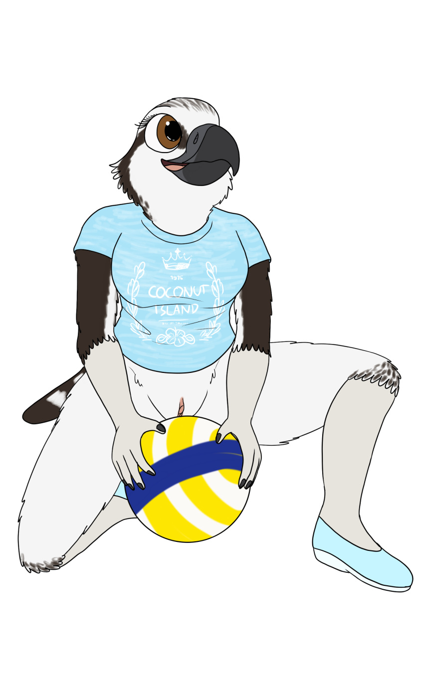 absurd_res accipitriform anthro avian ball balls beach_ball beak bird bottomless bottomless_female breasts clothed clothing crouching female fish_birb footwear furry furry_only genitals hi_res inflatable lizzy_(fish_birb) osprey partially_clothed pussy sandals shirt solo t-shirt topwear