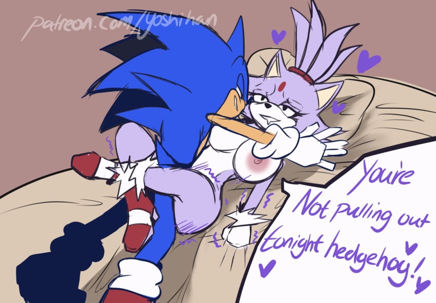 Blaze The Cat (Patreon) Rule 34 Image