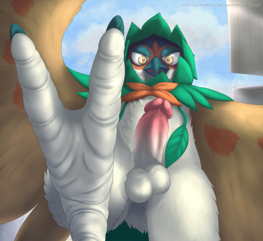 angry anthro avian balls barefoot bartucthebloody beak bird bird_feet city claws cloud day decidueye erection feathered_wings feathers feet foot_focus genitals green_claws hi_res leaf low-angle_view macro male male_only nintendo penis pokémon_(species) pokemon pseudo_clothing sky solo standing talons video_games white_body white_skin wings yellow_eyes