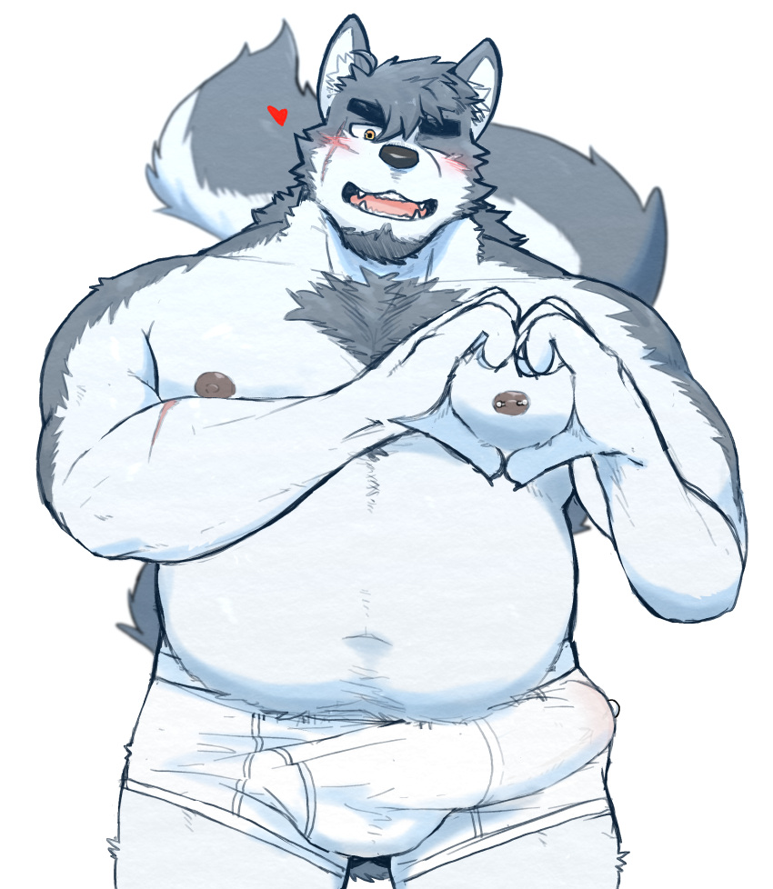 1boy 2022 anthro blush bodily_fluids bulge canid canine clothed clothing erection erection_under_clothing genital_fluids genital_outline hagom hi_res humanoid_hands kemono male male_only mammal moobs nipples one_eye_closed overweight overweight_male penis_outline precum scar solo underwear white_underwear wink