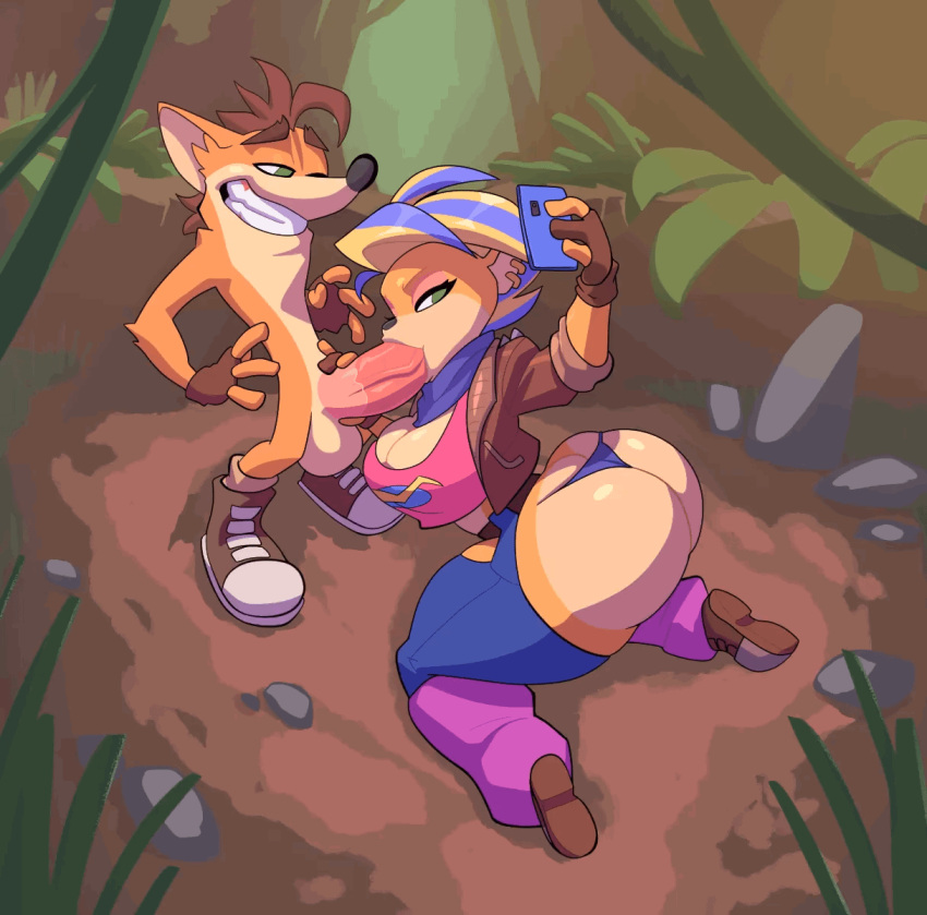 Crash Bandicoot (Activision) Rule 34 Image