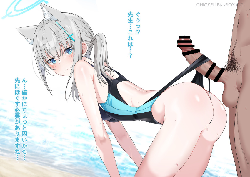 ? animal_ear_fluff animal_ears ass backless_swimsuit bangs bar_censor bare_arms beach bent_over black_swimsuit blue_archive blue_eyes blush breasts censored chicke_iii closed_mouth clothes_pull competition_swimsuit erection extra_ears female from_side grey_hair hair_between_eyes halo highres long_hair looking_at_viewer looking_to_the_side medium_breasts one-piece_swimsuit parted_lips penis shiroko_(blue_archive) shiroko_(swimsuit)_(blue_archive) solo_focus spoken_question_mark sweat swimsuit swimsuit_pull testicles thong_swimsuit water wedgie