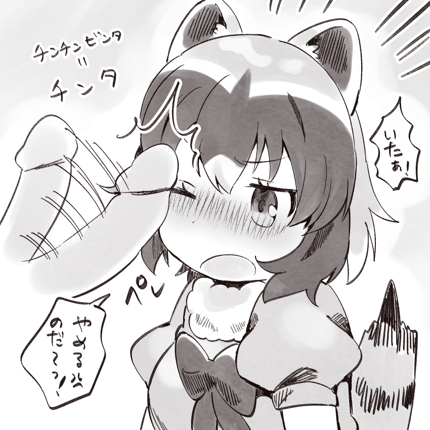 1boy 1girls blush common_raccoon_(kemono_friends) kemono_friends large_penis monochrome open_mouth raccoon_ears raccoon_girl raccoon_tail straight straight suicchonsuisui tail wink