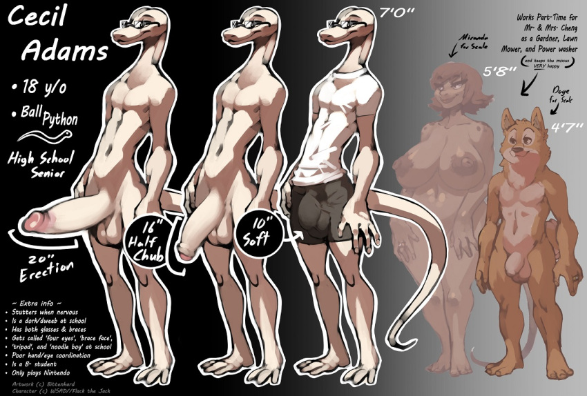 animal_genitalia anthro balls big_balls big_breasts big_penis bittenhard breasts brown_body brown_hair brown_skin bulge canid canine canis cecil_(wsad) clothed clothing countershading curvy_figure domestic_dog erection female flaccid foreskin fur genitals group hair komodo_dragon lizard male male_focus mammal miranda_(wsad) model_sheet monitor_lizard nipples nude orange_body orange_fur partially_clothed penis python reptile scalie sheath shiba_inu skinny slim snake spitz teenager underwear white_body white_skin young