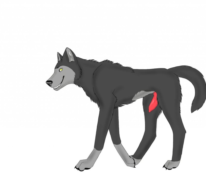 1boy airisu canine feral knot male male_only penis solo wolf